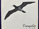 DAN HOLDER Tranquility LP PRIVATE Xian Loner Folk Soft Psych RARE Listen HEAR