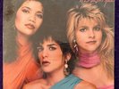 Sealed   EXPOSE What You Don't Know LP '89 ARISTA/BMG Club Ed R100937 ss MINT