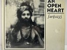 FANTUZZI AND FRIENDS AN OPEN HEART Warriors of the Rainbow AKASHIC RECORDS LP EX