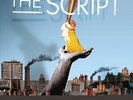 THE SCRIPT-SCIENCE & FAITH NEW VINYL
