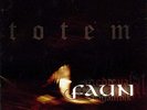 FAUN TOTEM NEW LP