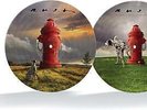 Rush Signals (Vinyl LP 12