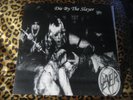 SLAYER die by the slayer VINYL LP exodus metallica