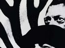 YELLO ZEBRA NEW LP
