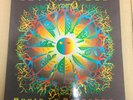 JETHRO TULL   Roots To Branches   UK 2XLP  1995 Chrysalis RARE AND NEAR MINT