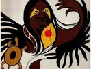 Willie Dunn Akwesasne Notes unsere stimme Vinyl LP