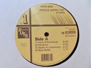 People Under The Stairs - The Next Step LP Vinyl X 2 - PUTS Original 1999