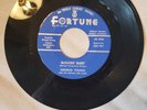 45 RPM ROCKER/GEORGE YOUNG/BUGGIN' BABY/SHAKING SHELLEY          NM