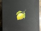 How to make lemonade - Beyoncé Box Set (RARE)