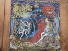 Psychotic Waltz -A Social Grace      RISING SUN Germany 1990