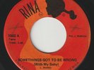 THE DEZILLES Somethings Got To Be Wrong / One More RINA lofi sweet soul 45 hear