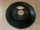BEACH BOYS 45 SURFIN / LUAU CANDIX 331 SMALL PRINT VG+
