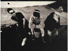 Beastie Boys Check Your Head NEAR MINT Grand Royal 2xVinyl LP
