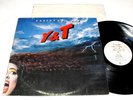 Y&T 
