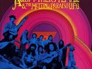 Acid Mothers Temple & The Melting Paraiso UFO (reissue)