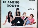 Flaming Youth-Guide Me Orion/Earthglow/Pulsar/From Now On Portugal EP w/Collins