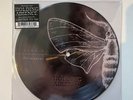 Holding Absence Permanent/Dream of Me 7