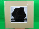 Damon Albarn : The Nearer the Fountain, More Pure the Stream Flows VINYL Deluxe