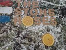 Stone Roses by The Stone Roses LP RED VINYL Album - Excellent Silvertone Records