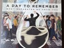 A Day To Remember What Separates Me From You Red Colored Vinyl Record LP 12”