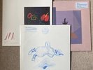 Devendra Banhart - 3x Vinyl Alums - Ma, Mala & Ape In Pink Marble - Signed Print