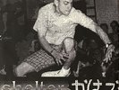 SHELTER QUEST FOR CERTAINTY 2 SONG 7