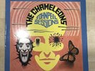 The Chameleons John Peel Sessions Vinyl Album