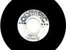 The Termites - Push It Up/ The Webbers Sisters - What You Gonna Do About It - 7