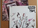 GIANT SAND – Storm/The Love Songs - 1988 Vinyl LPs - NM-Mint - FIEND115/129 -LOT
