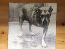 Alice In Chains Self titled Vinyl