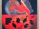 Pixies - Doggerel Signed Indie Exclusive Yellow Vinyl Record LP Autograph Rare