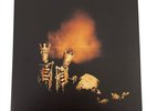 Pearl Jam Riot Act LP Record Album 2LP Booklet Alternative Music