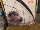 Pearl Jam - Vs. RARE original pressing vinyl LP record '93 SEALED NEW