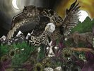 AVATAR FEATHERS & FLESH NEW LP