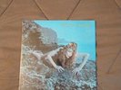 Roxy Music Siren Vinyl LP 1975 1st Press Atlantic / STILL IN SHRINK VG++