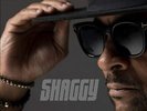 Shaggy – Hot Shot 2020 [NEW & SEALED] 12