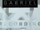 Roy Davis Jr. Featuring Peven Everett - Gabriel (12
