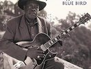 Jimmy Rogers - Blue Bird - Analogue Productions 45 RPM QRP