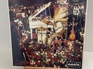 OASIS DONT LOOK BACK IN ANGER 12” SINGLE CREATION BRIT POP Noel Gallagher