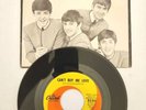 The Beatles CANT BUY ME LOVE/YOU CANT DO THAT Capitol 5150 RARE Picture Sleeve