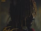 Thundercat - It Is What It Is (Picture Disc) Vinyl LP DA09545126