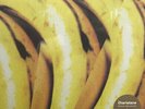 The Charlatans - Between 10th And 11th / Isolation 21.2.91, LP, A