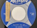 * ROGUES Anything You Say / Summertime PRIVATE SURF GARAGE ROCK Action 45 Hear