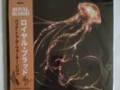 Royal Blood Back To The Water Below Signed Vinyl LP Clear Assai Obi Edition 2023