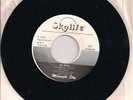 45 rpm record Midnight Sky Skylife Captain Midnight soul funk electro