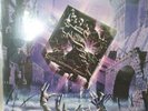 AXEL RUDI PELL - Doppel-LP 