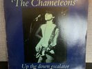 The Chameleons Up The Down Escalator  12