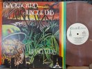 UPSETTERS Blackboard Jungle Dub Canadian LP NM