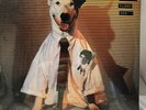 FACTORY SEALED   Rick Springfield - Working Class Dog LP   1981 RCA AFLI-3697