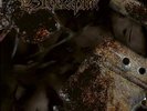 Brodequin Methods of Execution (Vinyl)